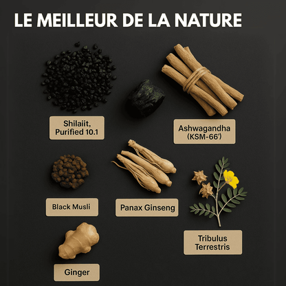 Shilajit pur de l’Himalaya – Aphroly®